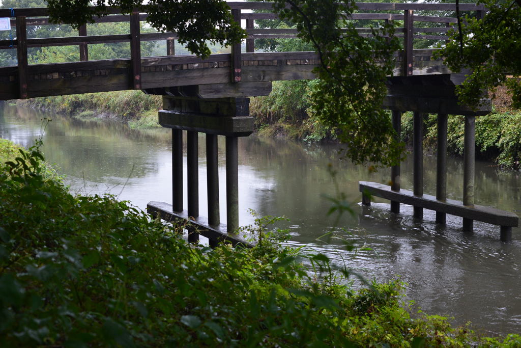 雨の日の芝川ー2