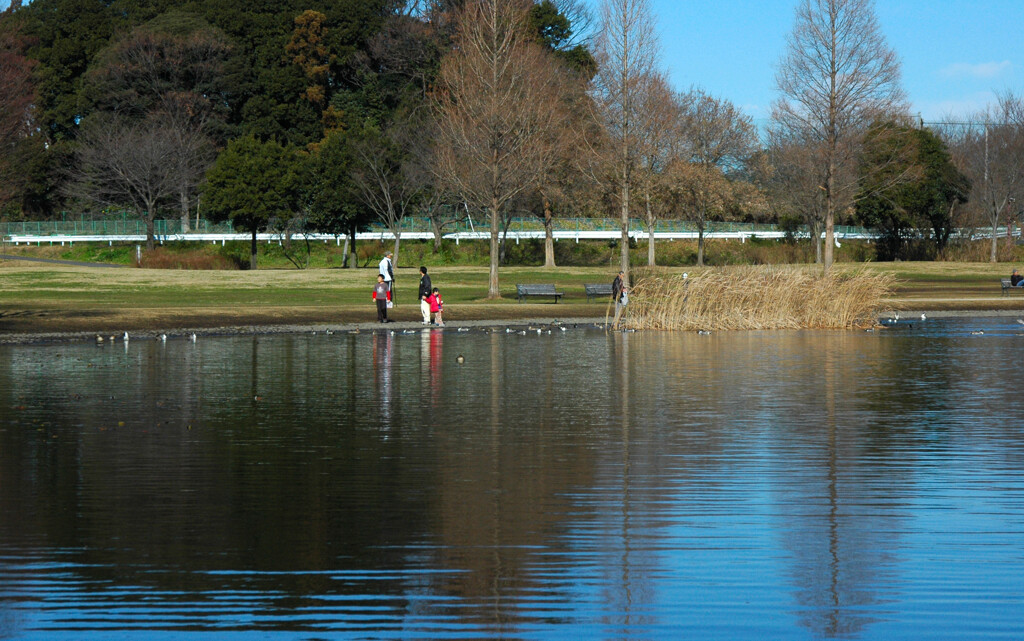  見沼自然公園 ―2