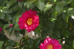 光あれば 輝く ―1