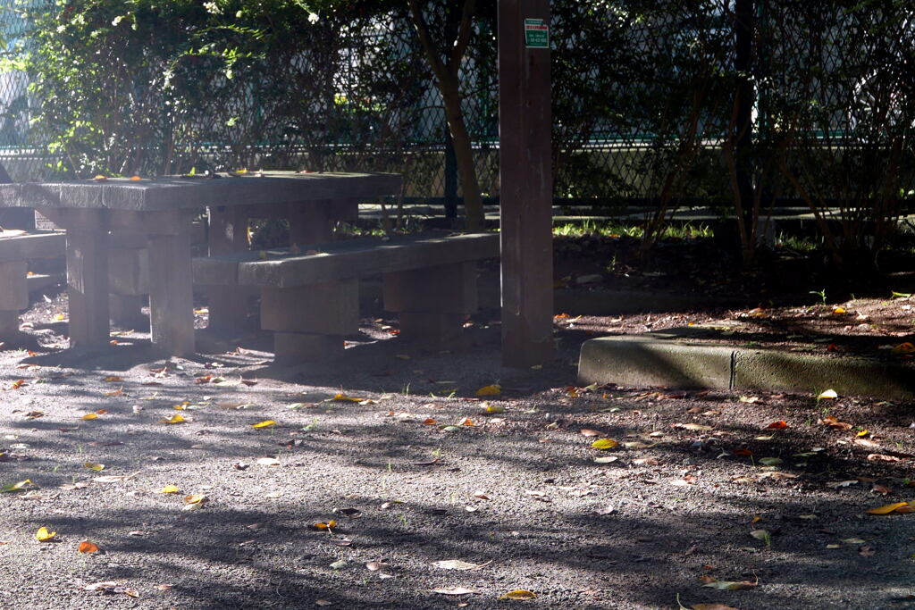 誰も来ぬ 小公園の秋 ―2
