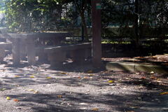 誰も来ぬ 小公園の秋 ―2