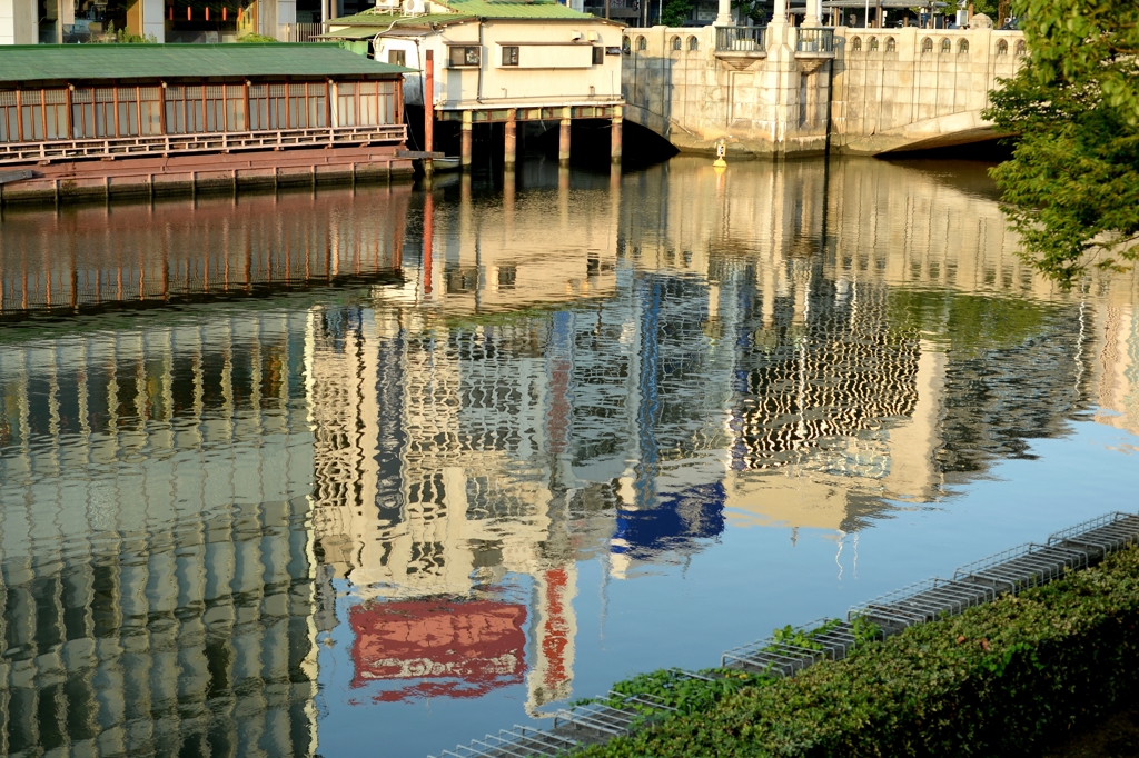 朝の土佐堀川ー1