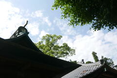  近所の神社で ー1