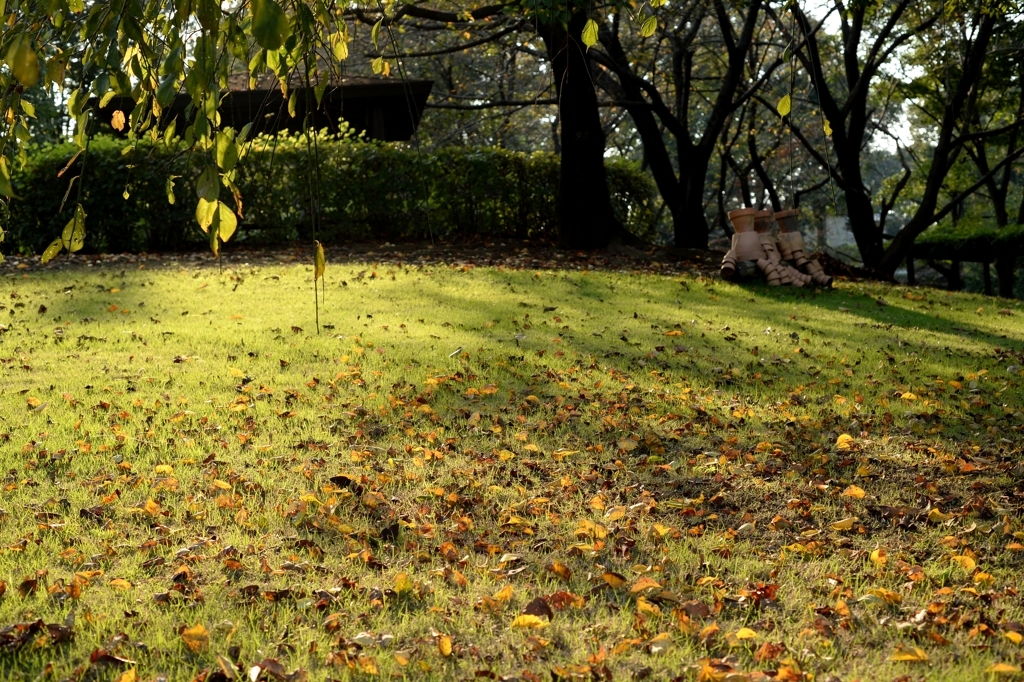 穏やかな秋日ー2