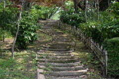 坂と滝―1