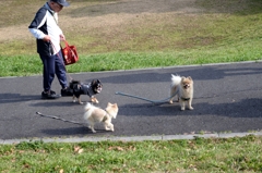 土曜日午後にー2