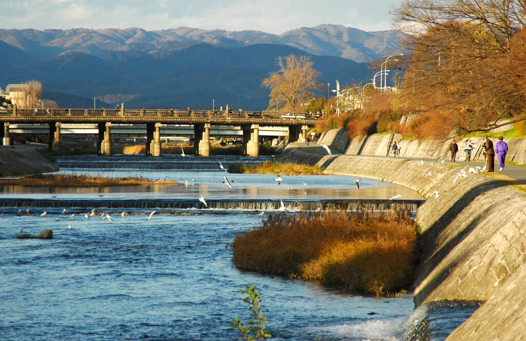 思い出 京都 ―2