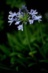 季節の楽しみー2