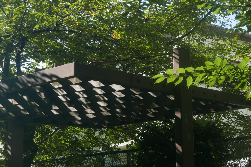 誰も来ない 小公園 ー2