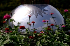 花ﾉ丘七月ー　1