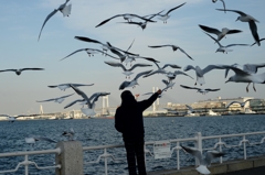 横浜追憶ー3