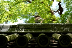 新緑の永観堂（京都）－9