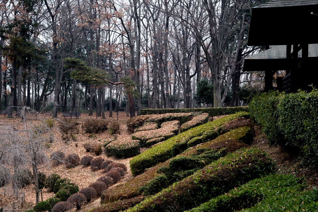 初冬の公園でーｅ