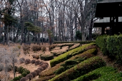 初冬の公園でーｅ