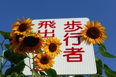 歩けばー1