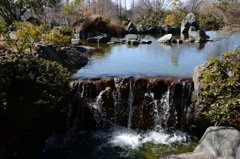 春を待つ公園で