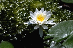 今、盛んにー２