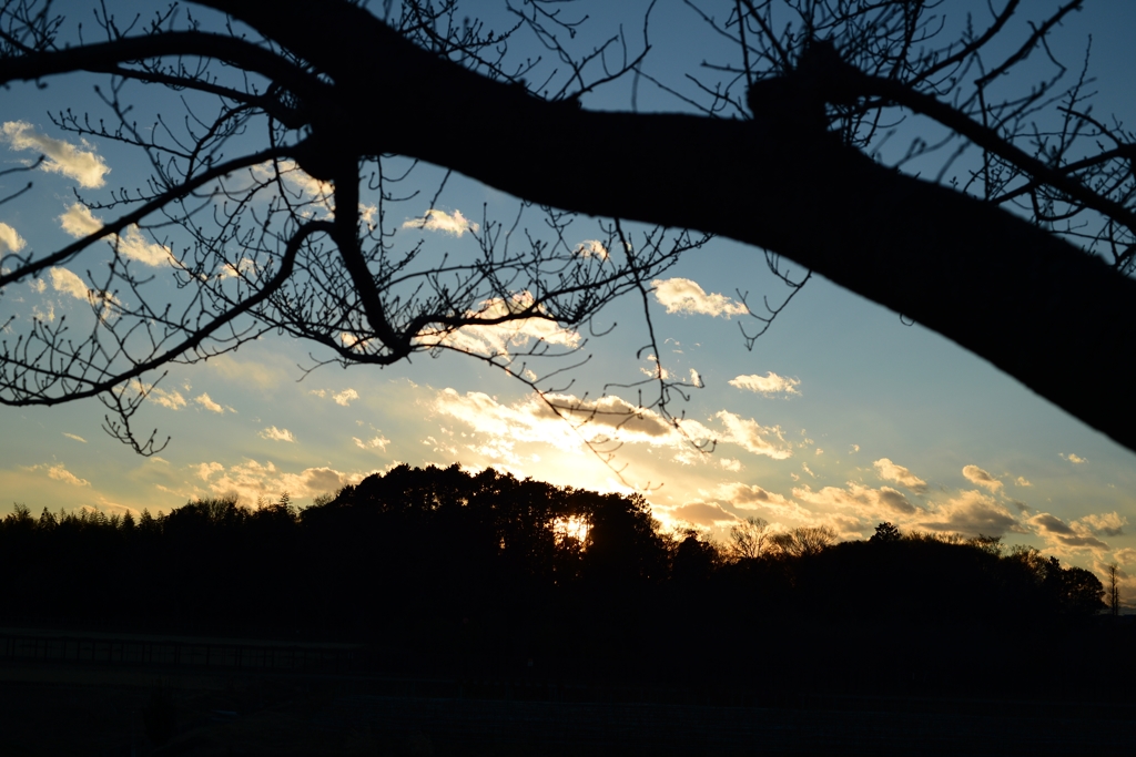 見沼の日暮れー1