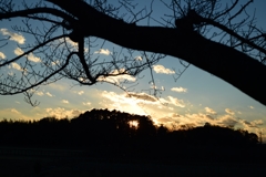 見沼の日暮れー1