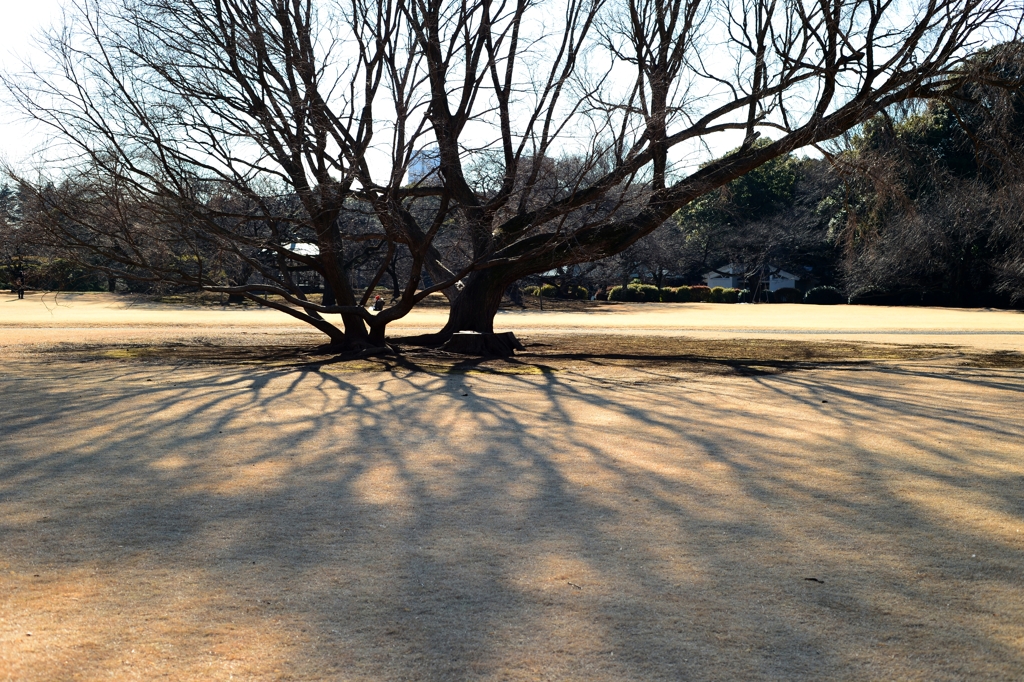 描かれる冬の影―１