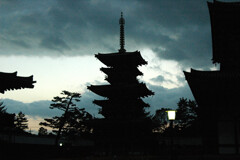  薬 師 寺 ー2