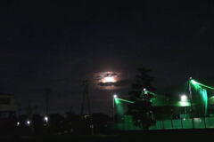  夜が 始まる―1