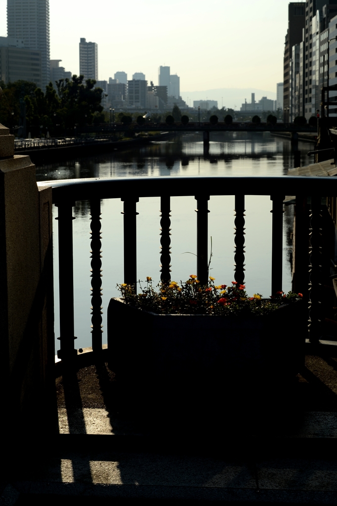 早朝の淀屋橋ー1