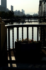 早朝の淀屋橋ー1