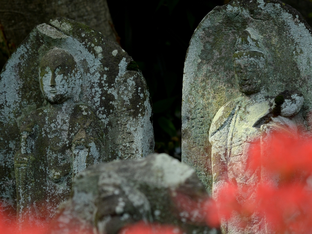 宝蔵院でー2　（東京・葛飾区）