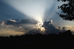 九月の陽射しー2