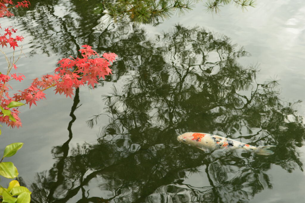 秋 に 涼　ー2