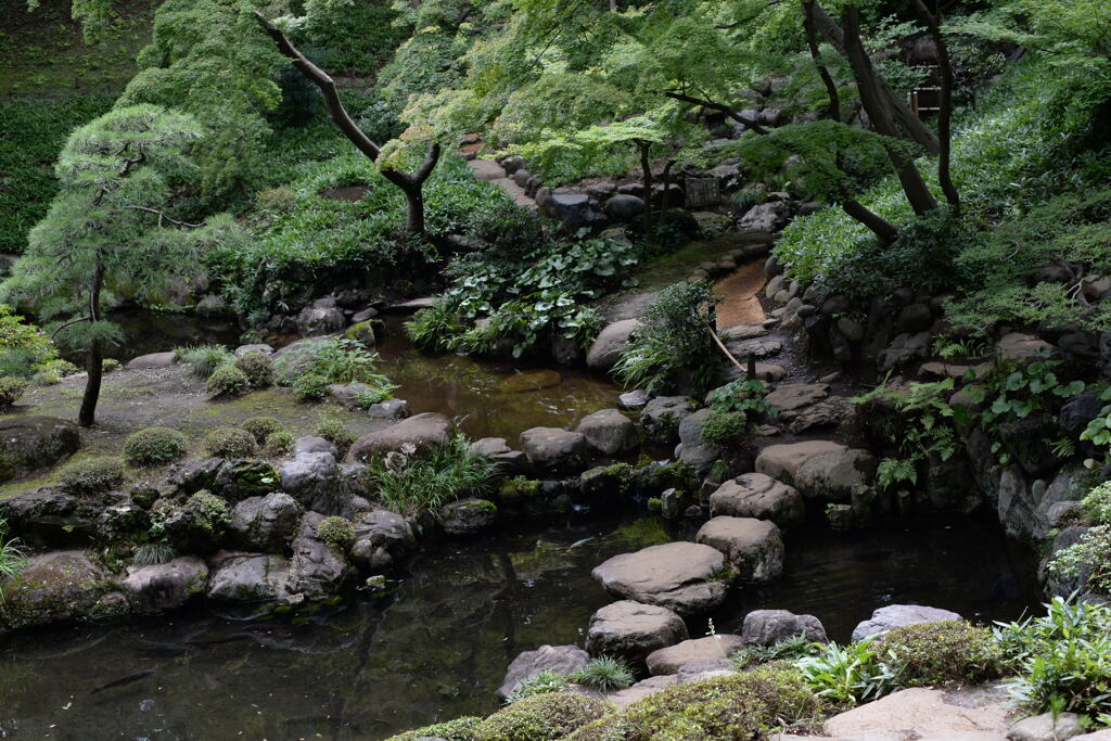 武蔵野の庭園－3