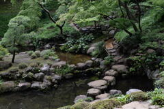 武蔵野の庭園－3
