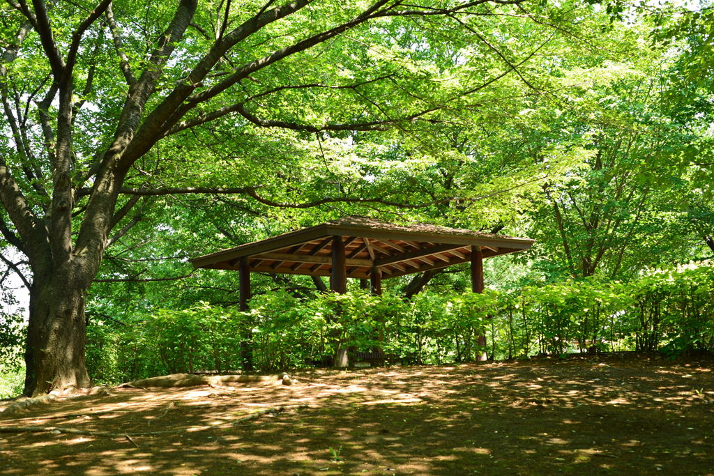 初 夏 ー2