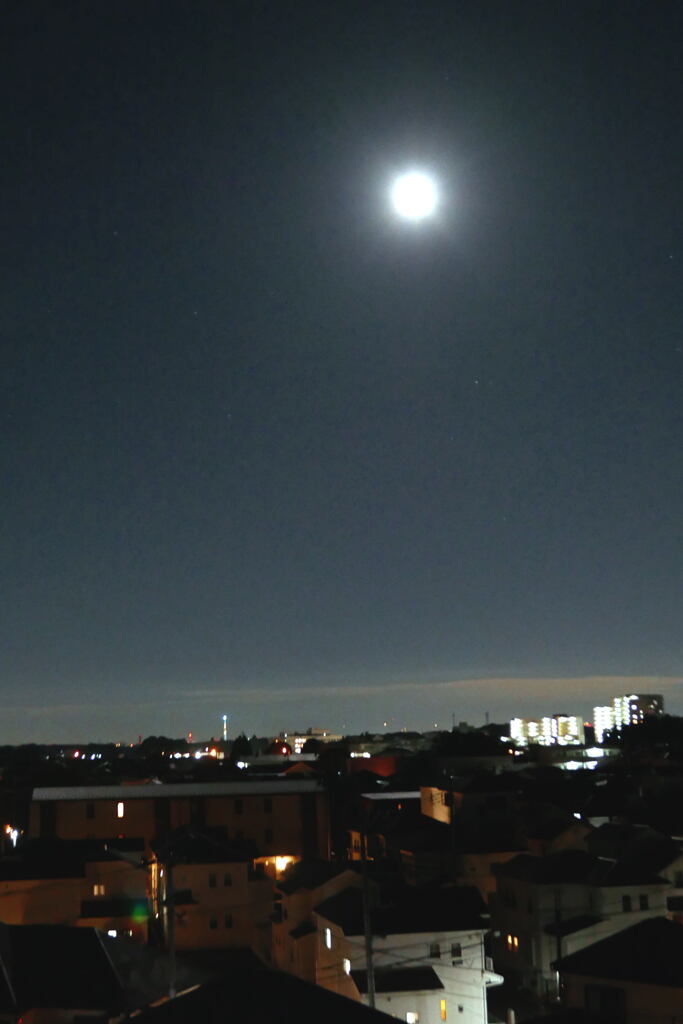  月 夜  穏やかな時 ―1