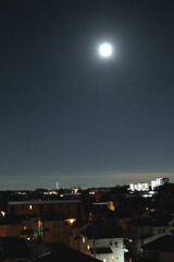  月 夜  穏やかな時 ―1