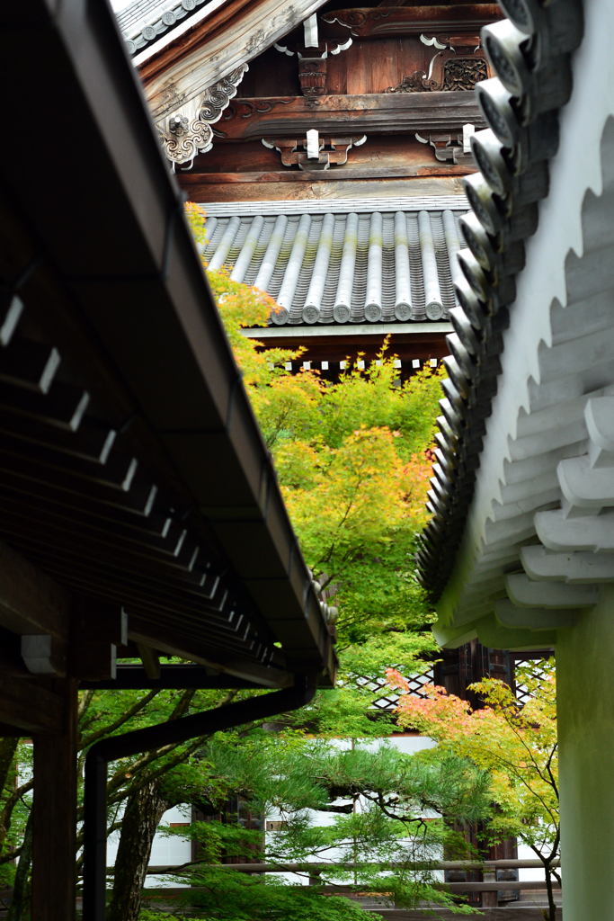 九月の永観堂・京都-2