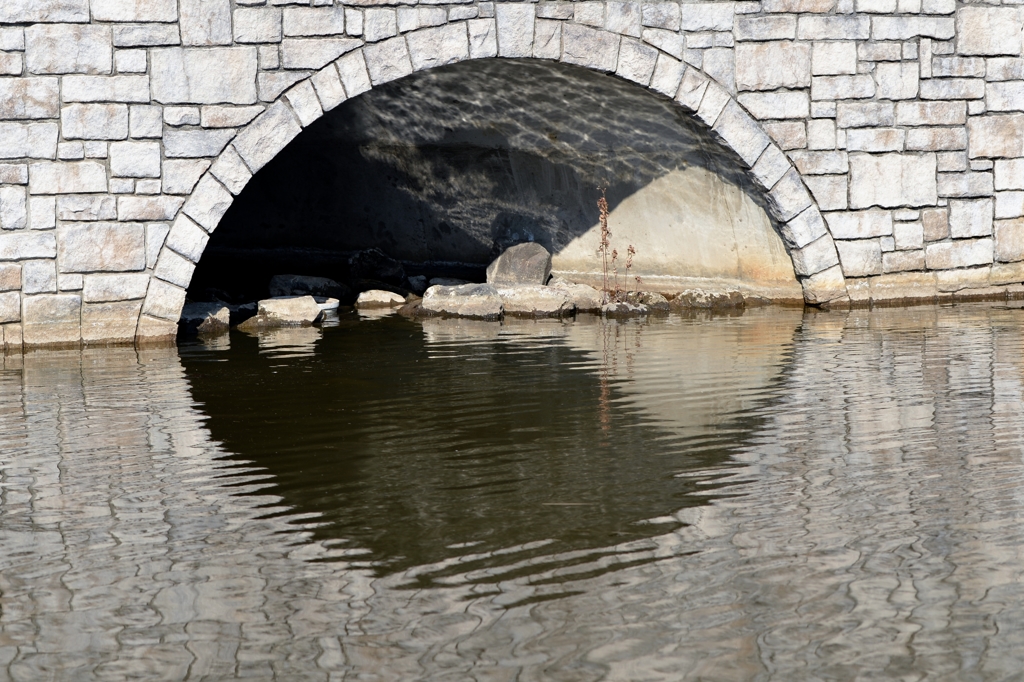 冬の晴れ間にー２