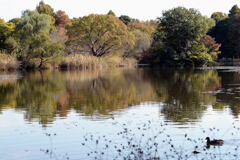 自然公園—1