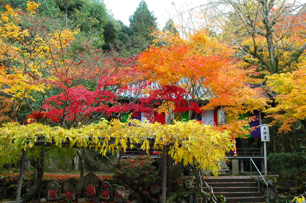  紅葉の 教徒 ー2