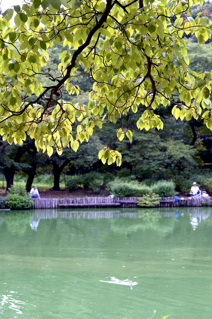 八月の記憶からーa