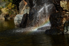 小さな滝と虹-2