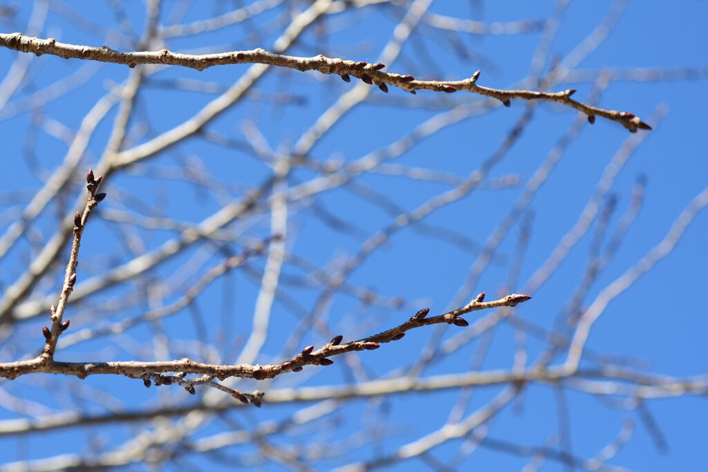 あと暫く経つと―２