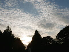  空　よ  —1