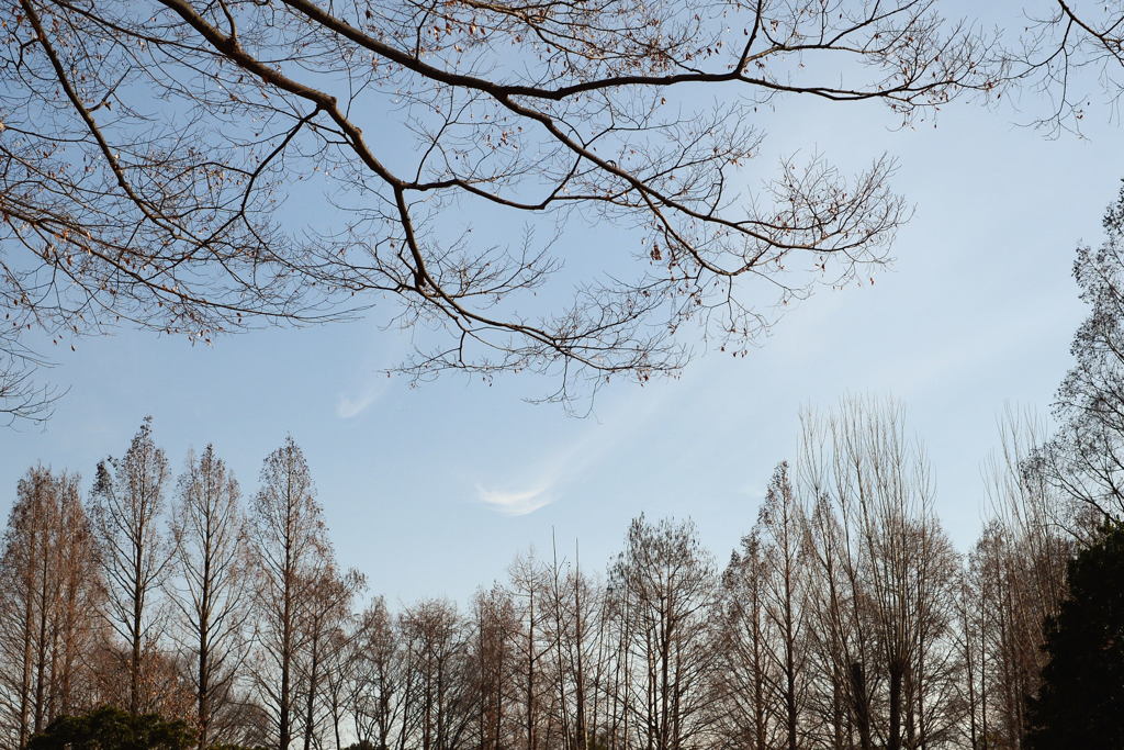 スリムに-1