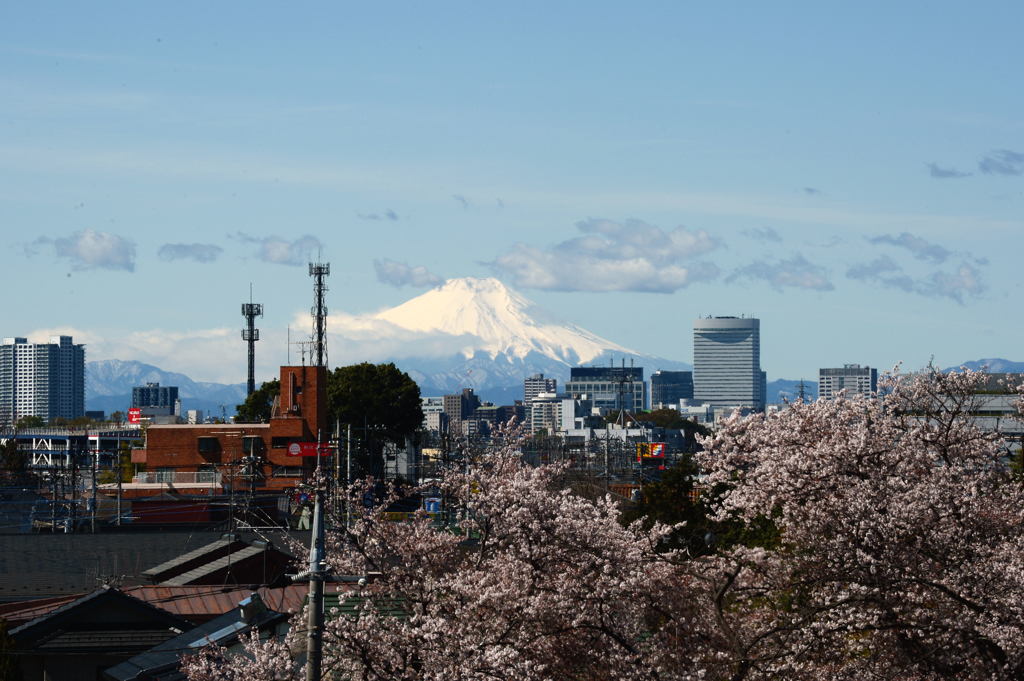 さいたま市から