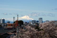 さいたま市から