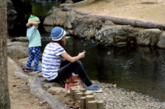 面白いでしょう