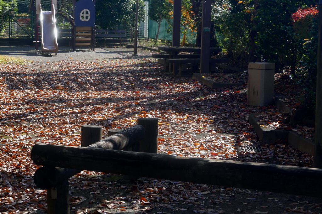 去りゆく 秋　ー1　 