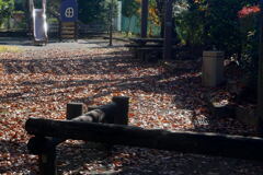 去りゆく 秋　ー1　 